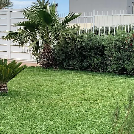 Serendipity 테라시니